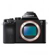 Sony ILCE 7 Body (Mirrorless) Camera