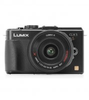 Panasonic Lumix DMC GX1W Camera