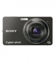 Sony Cyber-shot WX1 Camera