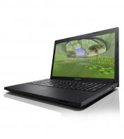 Lenovo Essential G505 (59-379446) Laptop (APU Dual Core/ 2GB/ 500GB/ DOS) Laptop