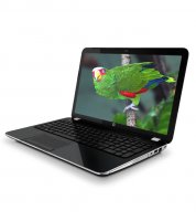 HP Pavilion 15-E024TU Laptop (3rd Gen Ci3/ 2GB/ 500GB/ Win 8) Laptop