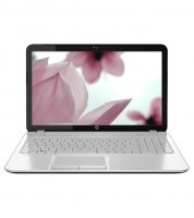 HP Pavilion 15-n205TX Laptop (3rd Gen Ci3/ 4GB/ 500GB/ Win 8) Laptop
