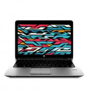 HP 820 G1 (G2F73PA) Laptop (4th Gen Ci5/ 4GB/ 500GB/ Win 8 Pro) Laptop
