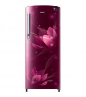 Samsung RR20N272YR8 Refrigerator